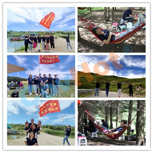 raybet雷竞技微博团建